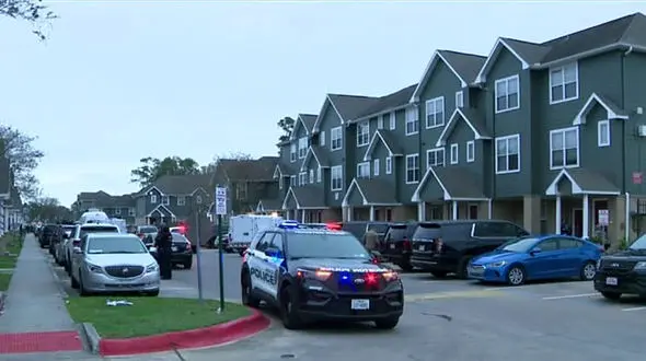 کودک 10 ساله جان مادرش را نجات داد / ناپدری دست به اسلحه شد 