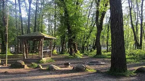 ساعات دلهره آور برای دختر 3 ساله در جنگل چالوس + جزییات