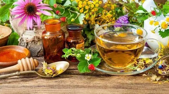 خواص ترنجبین برای درمان بیماری ها