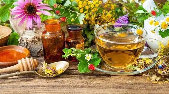 خواص ترنجبین برای درمان بیماری ها