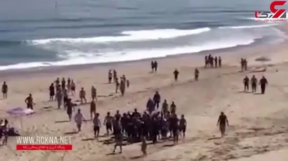 حمله مرگبار کوسه به شناگر جوان در ساحل + فیلم