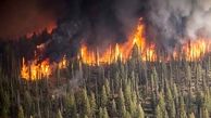  جنگل‌های شمالی مکزیک آتش گرفت