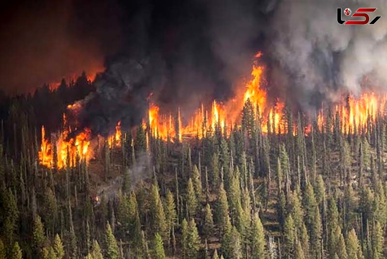  جنگل‌های شمالی مکزیک آتش گرفت