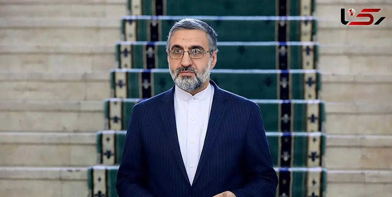 سخنگوی قوه قضاییه: حکم پرونده تعاونی‌های البرز ایرانیان و ولیعصر صادر شد