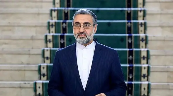 سخنگوی قوه قضاییه: حکم پرونده تعاونی‌های البرز ایرانیان و ولیعصر صادر شد