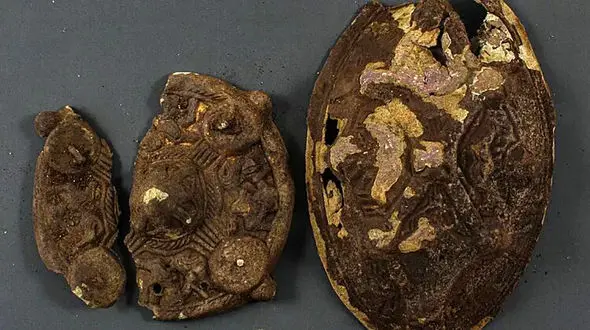 پیدا شدن گنج هزار ساله در حیاط خانه + عکس های شگفت انگیز