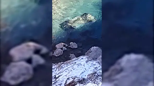 زنده ماندن 3 نفر در این صحنه معجزه بود / پرواز پراید به دره + فیلم