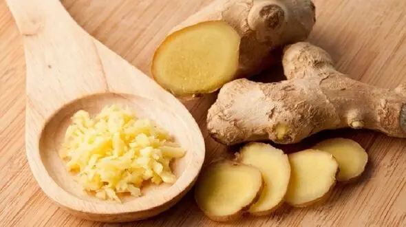 کنترل سردردهای میگرنی با این گیاه 