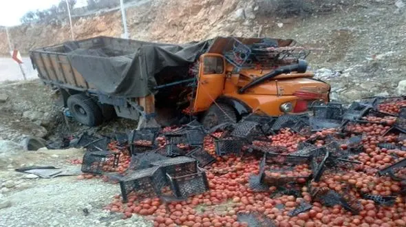 بوی انسانیت در صحنه  واژگونی کامیون  + فیلم جاده پر از گوجه 