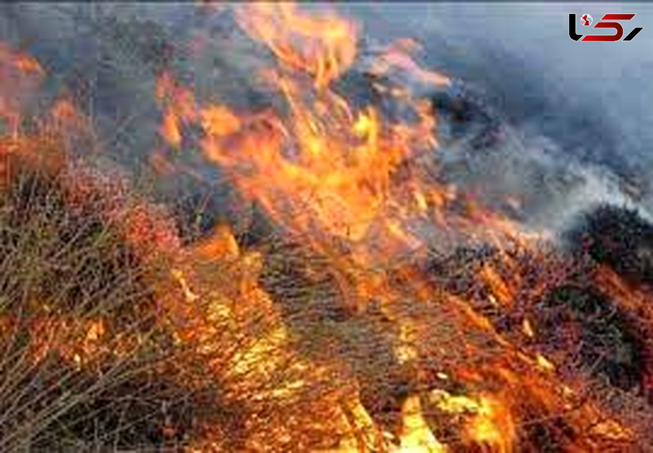 خسارت آتش سوزی در مراتع قزوین به ۴۴ هکتار رسید