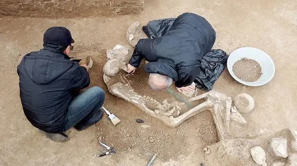 اسکلت یک انسان مهم در گیلان کشف شد +عکس
