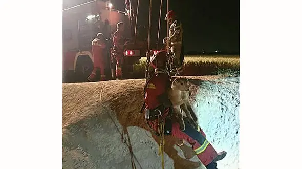 شیرجه مرگ مردی با ماشینش داخل کانال آب قزوین + عکس