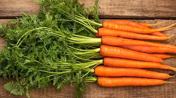 7 خوراکی مفید که مادران شیرده را لاغر می کند