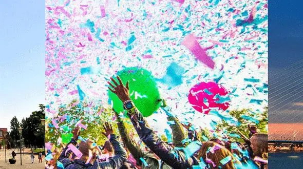 جاذبه های شهر روتردام هلند +عکس های دیدنی 