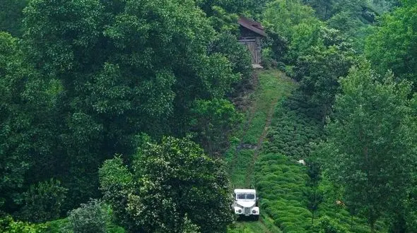 از پیاده روی در جنگل املش تا جاذبه های گردشگری خوزستان