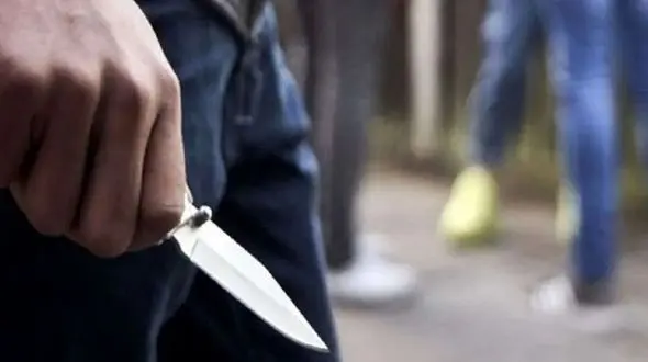 جزئیات درگیری وحشتناک اراذل و اوباش با خانواده‌ها در پارک ارم