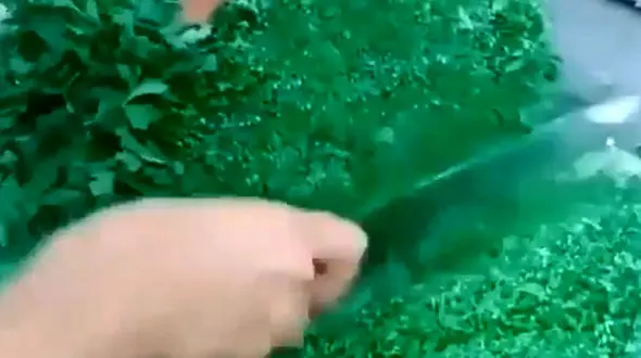 مهارت یک فرد در سبزی خرد کردن / فیلم