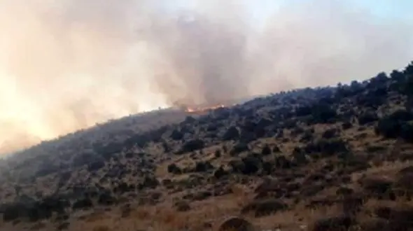 پشت پرده سانحه هوایی در اردل + فیلم 