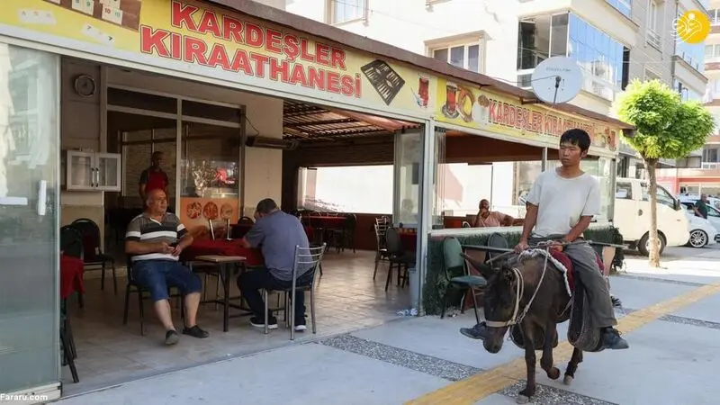 کوتارو گردشگر ژاپنی 
