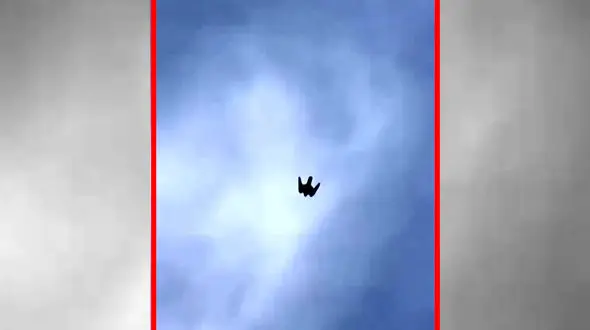 فیلم شیرجه مرگبار شاهین با سرعت ۳۲۰ کیلومتر