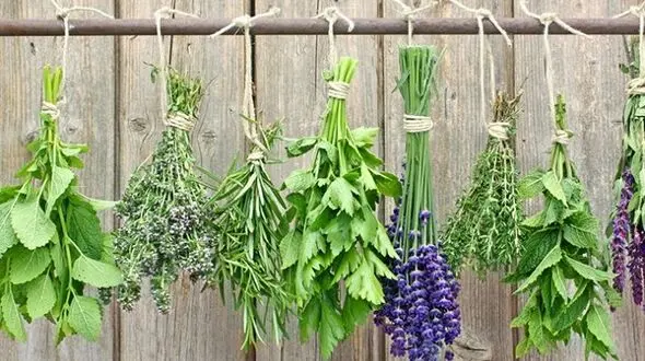 مسمومیت غذایی با این گزینه های غذایی بیشتر است