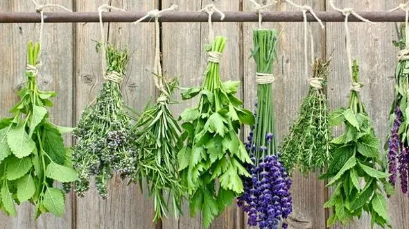 مسمومیت غذایی با این گزینه های غذایی بیشتر است