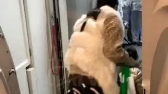 فیلم / خلبان ایرانی از جدال با ویروس کرونا در داخل هواپیما گزارش می دهد