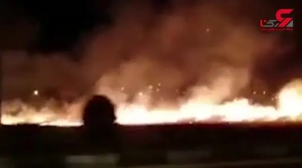 آتش سوزی زمین‌های کشاورزی در بلوار صیاد شیرازی گرگان+فیلم