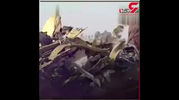 بوئینگ 737 یک «تابوت پرنده»!+فیلم