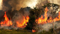 کاهش ۶۴ درصدی آتش سوزی‌ها در غرب مازندران
