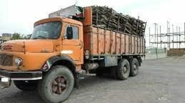 قاچاقچی هیزم بلوط در بویراحمد نقره داغ شد/ جریمه 7 میلیاردی برای تخریبگر طبیعت