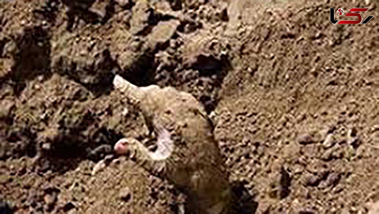 فیلم باورنکردنی از بیرون کشیدن پیرمرد زنده به گور شده پس از 4 روز از زیر خاک