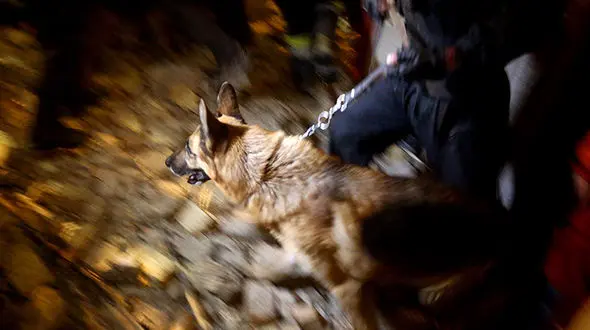 یک دروغ بزرگ در مناطق زلزله زده