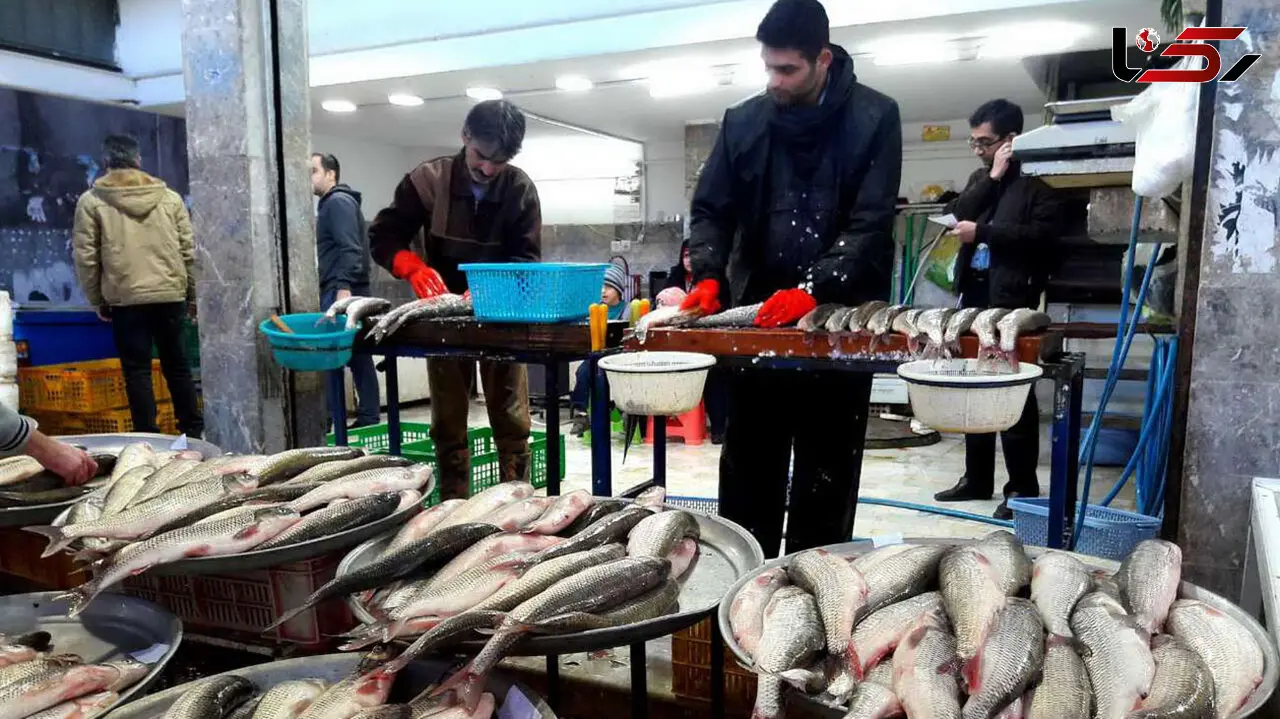 قیمت ماهی و میگو در بازار امروز چهارشنبه 12 شهریور 99 + جدول
