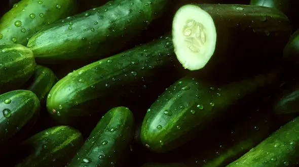 هشدار! ضرر  وحشتناک خوردن خیار و گوجه 