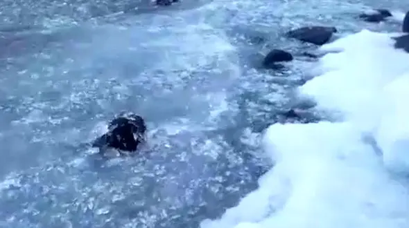 این دریاچه‌ یخ‌‌دربهشت است! +فیلم باورنکردنی