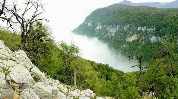 سقوط پاترول به دره جنگل جهان نما / از سرنوشت 4 سرنشین خبری نیست