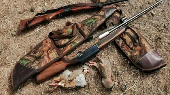 جریمه میلیونی برای شکار کل وحشی در کامیاران + جزییات