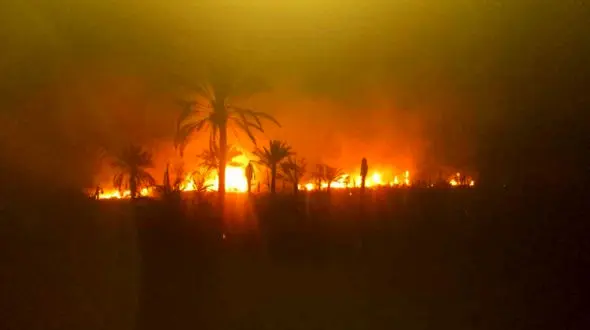 آتش‌سوزی در جنگل‌های هماگ بندرعباس وارد سومین روز شد / اهالی :  بالگرد آب‌پاش با ۲۴ ساعت تأخیر اعزام شد