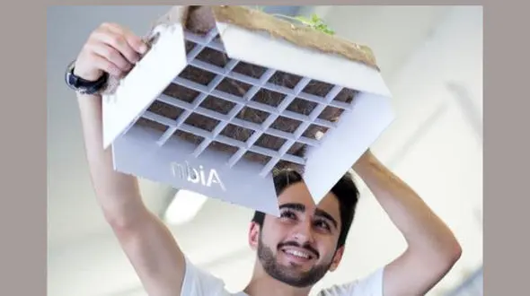 برای مبارزه با قحطی، باغچه ای بدون خاک ساخته شد