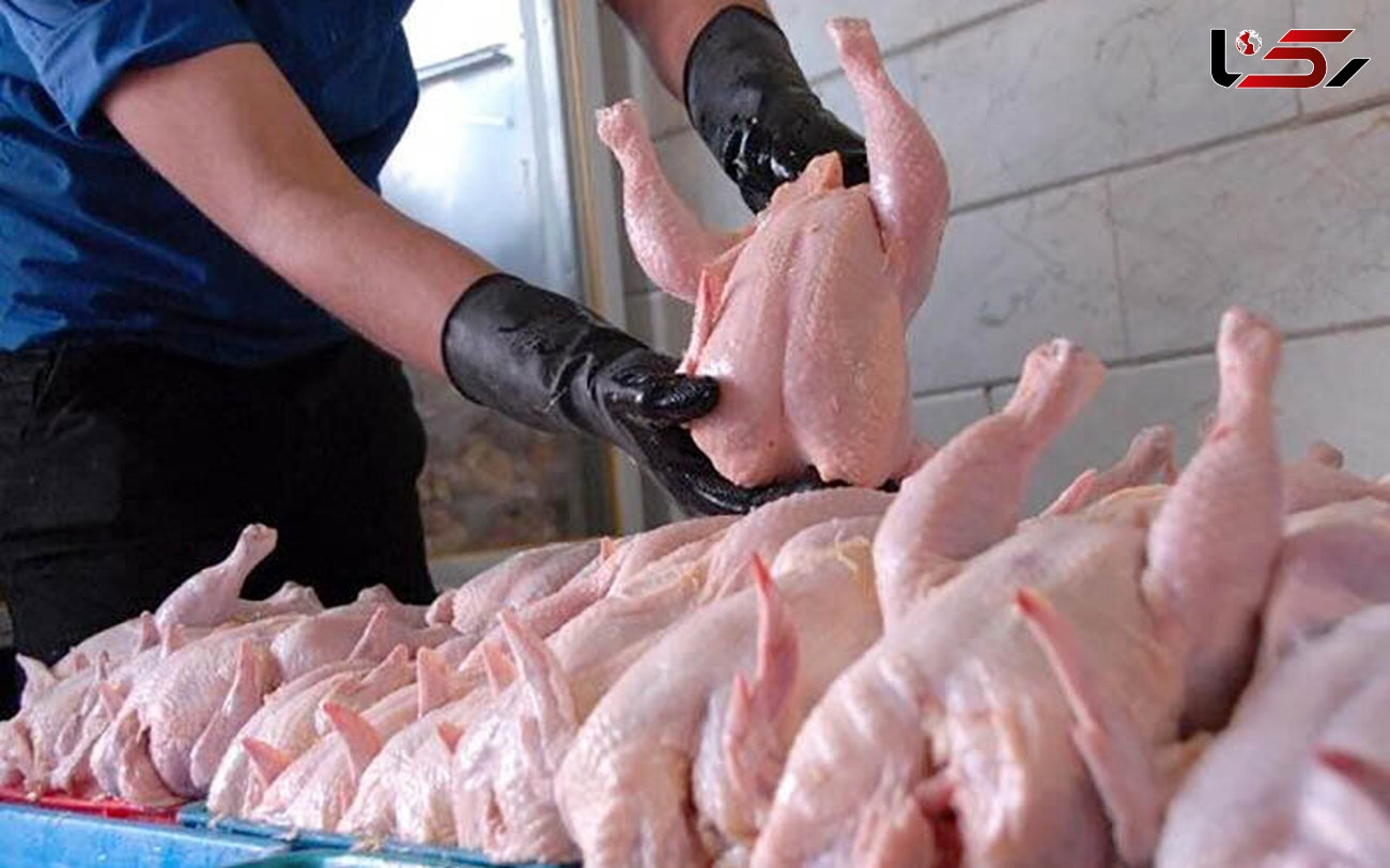 مشکلی برای تأمین گوشت مرغ در لرستان وجود ندارد