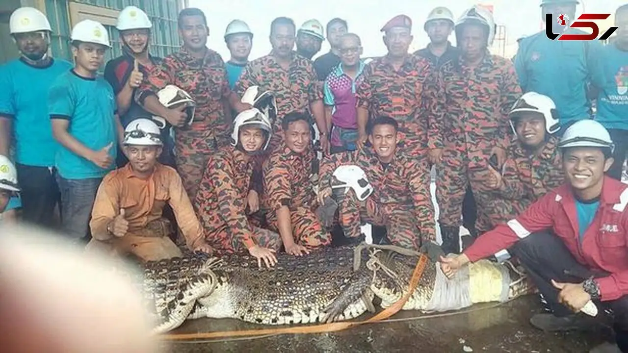 عکس سلفی آتش نشانان پس از عملیات نجات جان حادثه دیده را گرفت + تصاویر