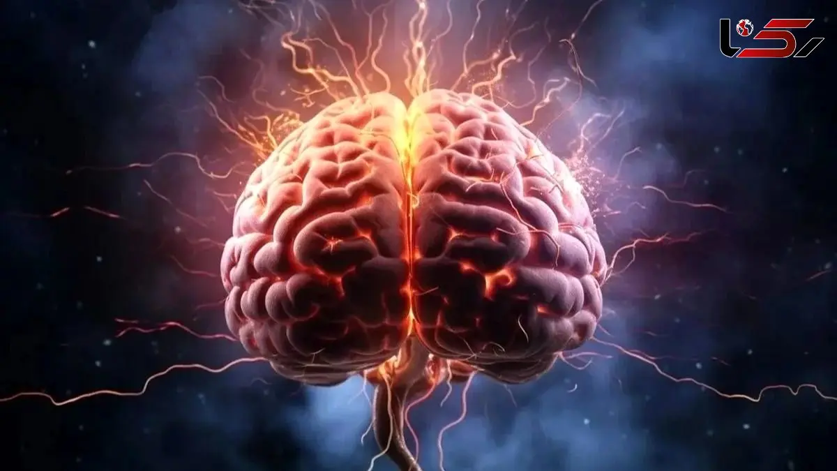 هشدار! این 5 علامت نشانه پیری زودرس مغز شماست