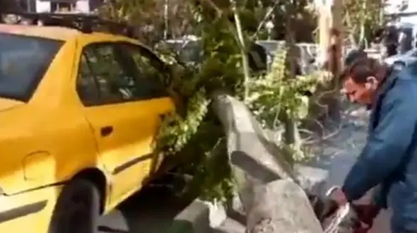 اولین خسارت طوفان در تهران در خیابان نجات‌اللهی + فیلم