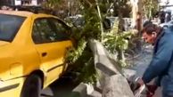 اولین خسارت طوفان در تهران در خیابان نجات‌اللهی + فیلم