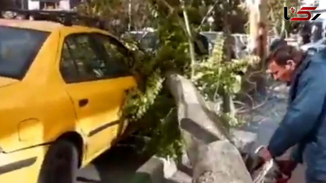 اولین خسارت طوفان در تهران در خیابان نجات‌اللهی + فیلم