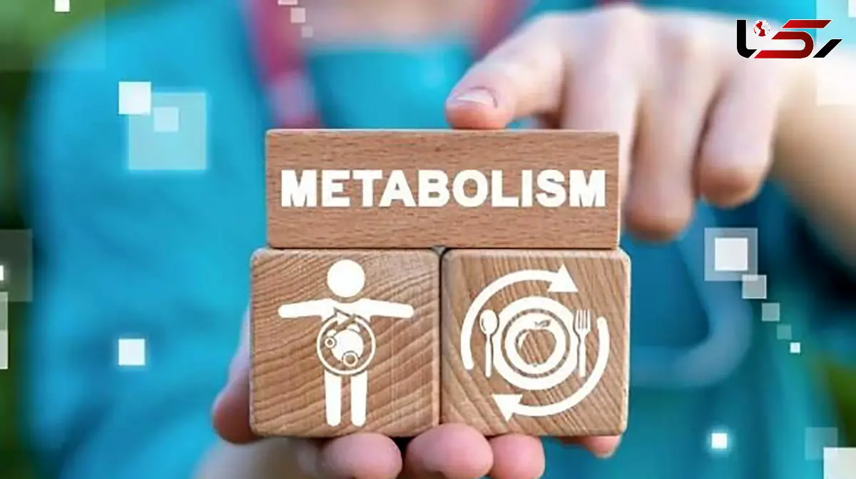 ۴ عامل اثرگذار بر سوخت‌وساز بدن