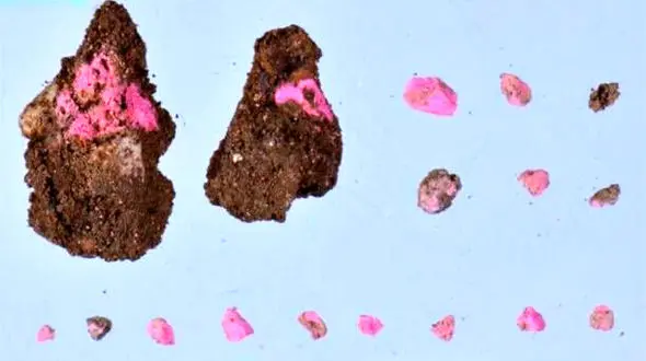 کشف مواد آرایشی دوهزارساله