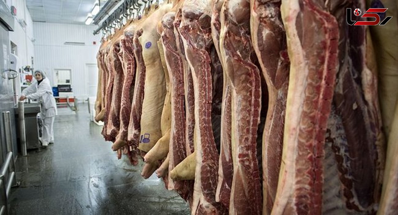 پشت پرده توزیع و فروش گوشت سگ در کرمان چه بود؟