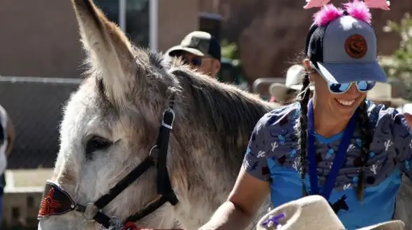 رقابت جذاب و متفاوت؛ دوندگان و الاغ‌ها در یک میدان + فیلم
